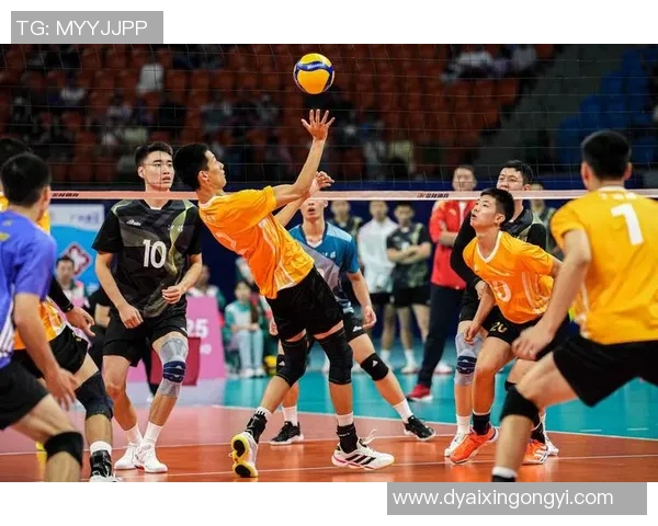 排球耐力排行榜揭晓上海排球队荣登第六名引发关注