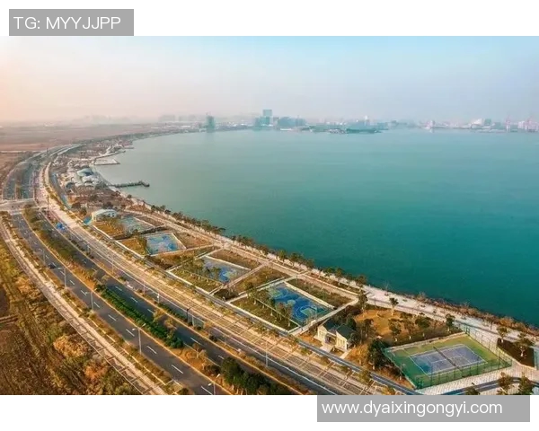 杭州网球队运营革新探索：从传统模式到数字化转型的全新路径