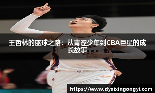 王哲林的篮球之路：从青涩少年到CBA巨星的成长故事